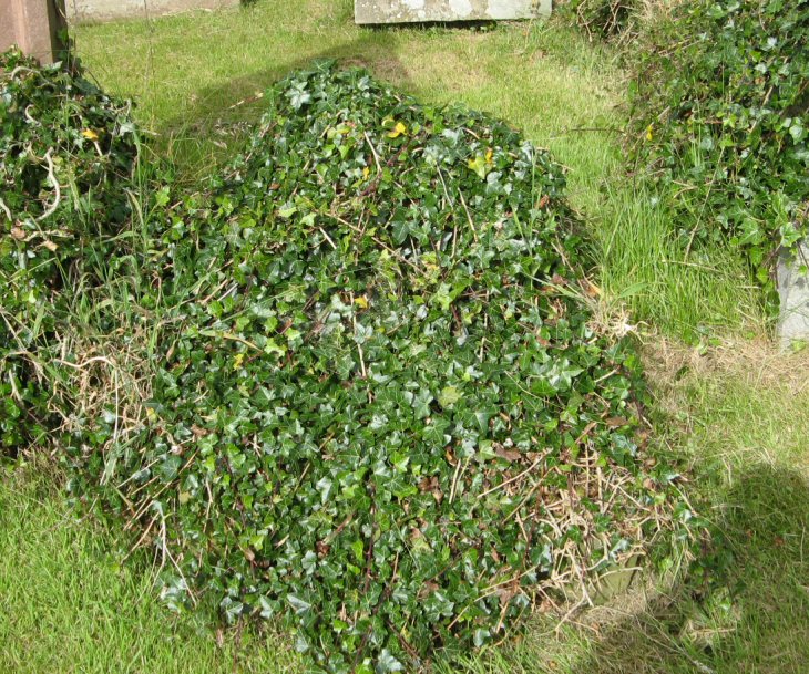 Photo of headstones/John Junor & Mary McLennan hdstn Rosemarkie